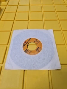 Gordon Lightfoot Sundown/Too Late For Prayin 45 7" POP Schallplatte Vinyl Schallplatten - Bild 1 von 3