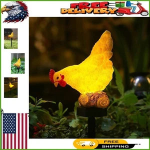Whimsical Solar Chicken Lights for Outdoor Decor - Easy Stake Installation - Picture 1 of 11