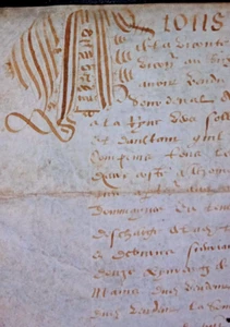 1619 antike Handschrift Pergament Urkunde Notarvertrag schöner Anfangsbrief - Bild 1 von 14