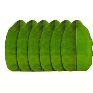 Melamine Banana Leaf Shape Plate 19 X 12 CM (Pack of 6) - Picture 1 of 5