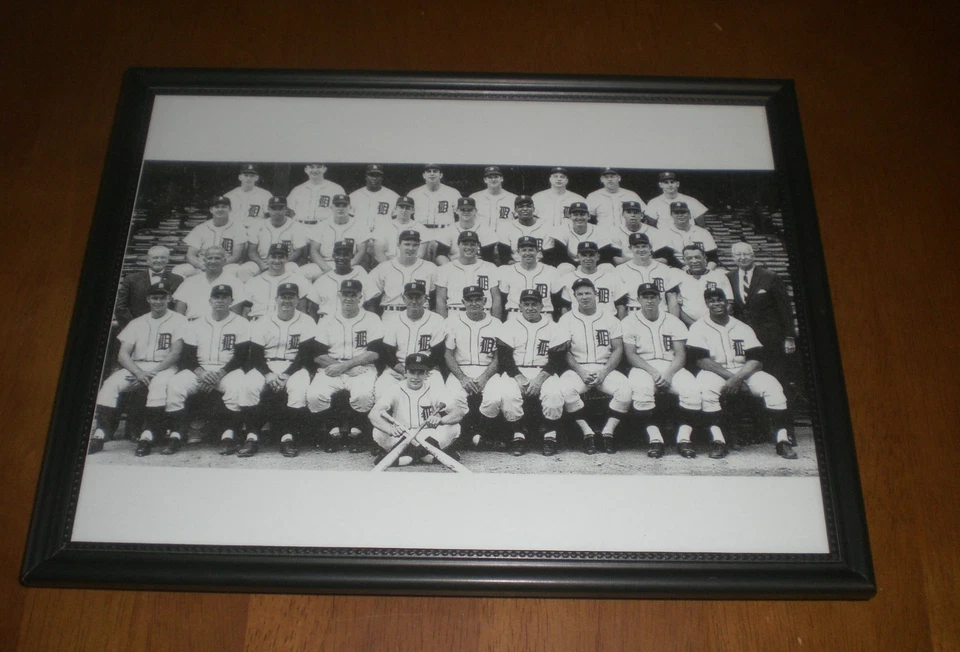 CAMPEONES DEL MUNDO 1968 TIGRES DE DETROIT IMPRESIÓN DE EQUIPO ENMARCADO Foto 1 de 1