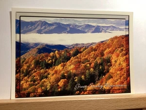Fog Between the Peaks at Thomas Ridge, Great Smoky Mountains: - Vintage Postcard - Picture 1 of 3