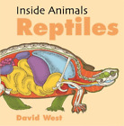 David West Inside Animals: Reptiles (Taschenbuch) Inside Animals