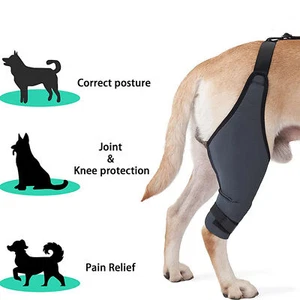 Dog Knee Brace Breathable Supportive Reduce Pain Joint Protection Dog Hind Legs - Picture 1 of 30