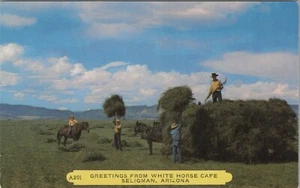 Seligman Arizona Greetings from White Horse Cafe horses rider bales E492 - Picture 1 of 2