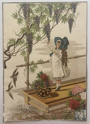 Antigua tarjeta comercial victoriana niña recogiendo uvas con pájaros y flores tamaño grande Foto 1 de 2