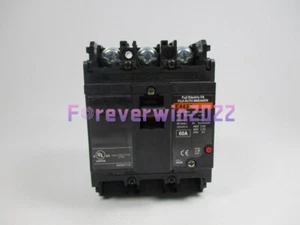 NUEVO EN CAJA APTO PARA Interruptor Circuito Fuji EA63C 60A 3P - Imagen 1 de 1