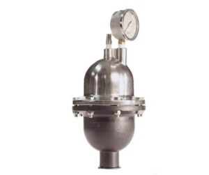 Blacoh CT3020V-PMI,Pulsation Dampener, Sentry II, 85 in³, 3/4" FNPT, 300 PSI, SS - Picture 1 of 5