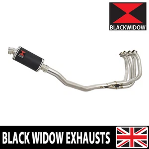 CBR929 CBR954 RR Fireblade 2000-2003 Exhaust System Oval Silencer BN23V - Picture 1 of 8