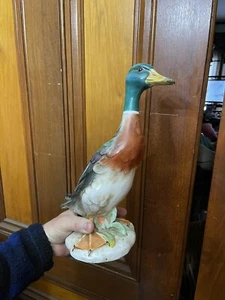 Mallard Duck Drake Italian Majolica Pottery Animal Bird Form Pottery Hunting MCM - Picture 1 of 14