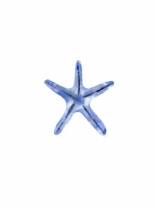 Starfish, Ann Solo, Wall Decor Home Art Print Poster 14" x 11" 2989 - Picture 1 of 1