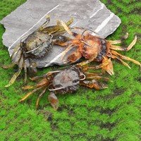 24 3D SOFT PLASTIC CRAB SURF FISHING SALTWATER LURE TACKLE ACCESSORY