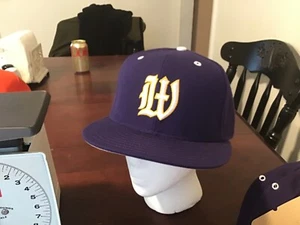 Williams College EPHS Snapback hat - Picture 1 of 5
