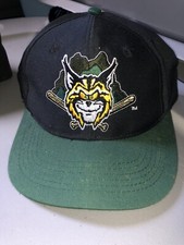 Vintage MiLB Lynchburg Hillcats Stitched Snapback Baseball Cap