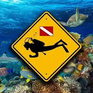 Scuba Sign - Diver Down - Underwater Crossing - Aluminum - Water Safety Placard - Picture 1 of 8