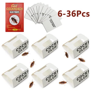 6- 36pcs Pest Roach Glue Trap Cockroach Killer Bait Catch Spider Insects Indoor - Picture 1 of 12