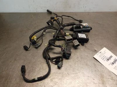 Módulo de control de asiento refrigerado por calefacción 7L1T-14B663-BB con cableado desde 2009 MKS 9282792 Foto 1 de 4