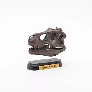 Tyrannosaurus rex Skull Mini Figure Dinosaur Mini Model Favorite - Picture 1 of 7