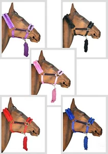 COLOURFUL HORSE DIAMONTE HEAD COLLAR & LEAD ROPE SET COB FULL PONY SMALL PONY - Picture 1 of 7