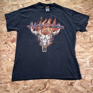 Vintage 2000s Harley Davidson Skull Flame Fire Arizona Black T-shirt Sz L - Picture 1 of 8
