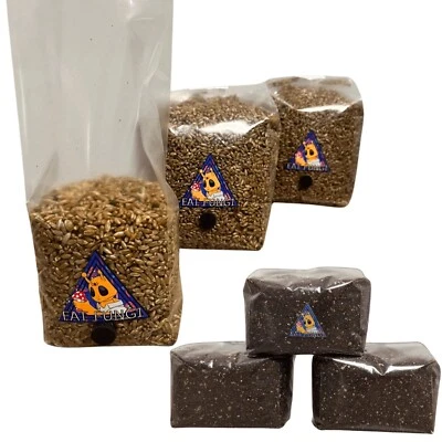 MonoTub Refill Kit - Mushroom Growing Kit - Medicinal, Oyster, Lion's Mane etc - Image 1 of 3