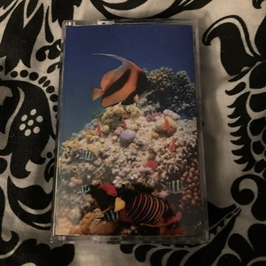 NEW 魚魚 海洋探査 Fish UV printed CLEAR Cassette #/30 Limited Vaporwave Oceanic - Picture 1 of 3