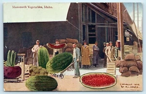 POSTCARD Mammoth Vegetable Idaho Exaggerated Watermelon Fruit 1908 - Picture 1 of 2
