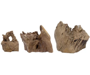 Dekowurzel Teakholz Wurzel Deko Skulptur Teak Holzwurzel Terrarium Deko Holzdeko - Bild 1 von 8