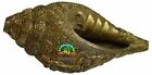Rare Blowing Shankh Conch Shell Brass Indian Home Decor Hinduism Engraved Tradit