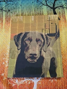 Black Lab Labrador Retriever Screened Canvas Wooden Framed Print 20x16 Signature - Picture 1 of 6