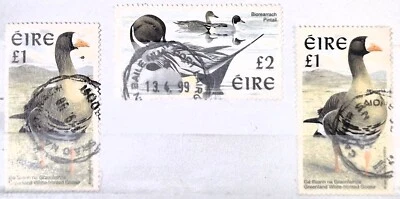 Ireland 1997-98 Eire 2x £1 & 1x £2 Used Stamps Scott# 1040 Bird Stamps - Image 1 of 4