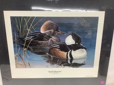 Impresión numerada firmada por Cynthia Fisher #788/1000 en tablero mate - “Duchas de abril” Foto 1 de 2