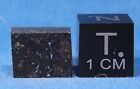 1.66 Gram Belle Plaine Meteorite Slice - L6 Chondrite - Found 1950 In Kansas