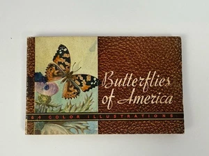 1934 Butterflies & Moths of America 64 Color Illustration Lilian Davids Fazzini - Bild 1 von 4