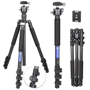 Lightweight Carbon Tripod with 34mm Arca Low Profile Tripod Ball Head Detacha... - Picture 1 of 9