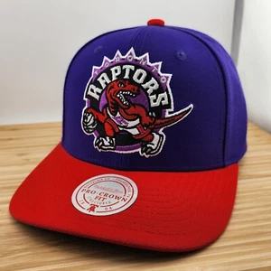 Toronto Raptors Hat, Mitchell & Ness, 2 Tone, Pro Crown Fit, NBA, Snapback - Picture 1 of 9