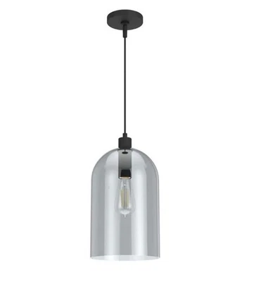 Colgante Hunter Fans 19204 Lochemeade 1 luz en estilo moderno - 9 pulgadas de ancho Foto 1 de 4