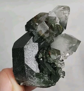30gms Of Aesthetic Chlorite Included Quartz Crystal's Cluster Form Baluchistan. - Picture 1 of 20