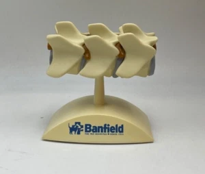 Modelo Veterinario Banfield - Hernia Disco Vertebral Perro Vértebras Anatómicas - Imagen 1 de 4