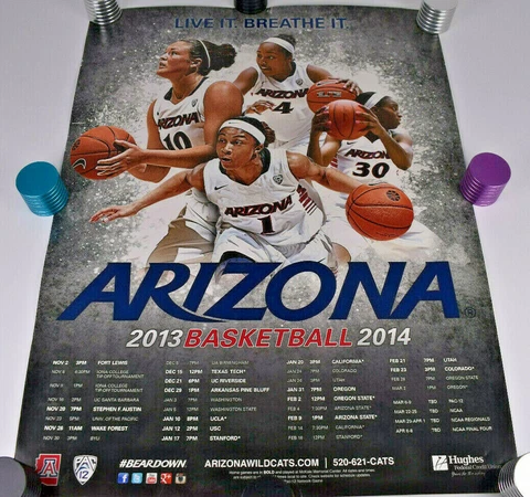 2013 -2014 University of Arizona Wildcats College Women's Basketball  Poster Cover