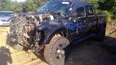  F350SD    2009 Passenger Rear Interior Door Panel 759091 - Imagem 1 de 4