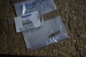 TRIUMPH ORIGINAL BONNEVILLE AMERICA VERGASER PILOTSCHRAUBEN 02-07 T1241079 - Bild 1 von 3