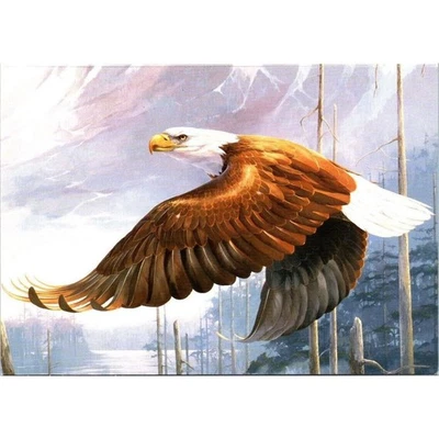 Thinking of You Card Bald Eagle Onward Glory Mario Fernandez 1986 Leanin' Tree  - Image 1 of 3