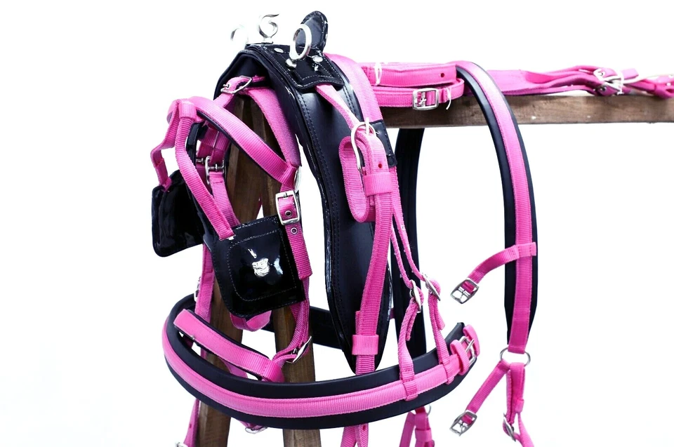 NYLON WEBBING DRIVING HARNESS FOR SINGLE HORSE CART SET FULL COB PONY SHETLAND - Image 1 of 1