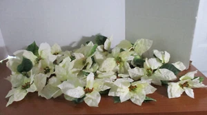 Lot of 25 Beautiful WHITE / IVORY POINSETTIA FLOWER BLOOMS - Picture 1 of 4