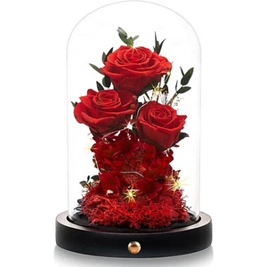 Flowers Roses Gifts for Her Preserved Roses in Glass Dome Forever Real Roses - Picture 1 of 6