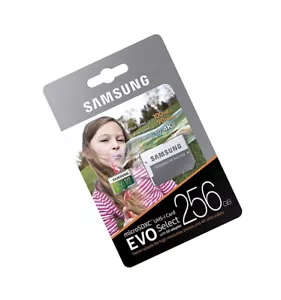 Samsung 256GB Micro EVO select V30 SD card for Galaxy 18.4 View 2 View tablet - Picture 1 of 6