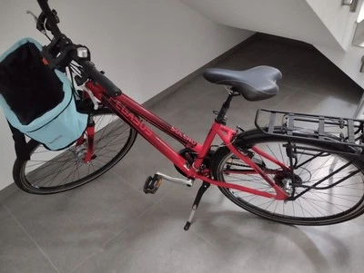 Pegasus Solero SL Fahrrad  - Bild 1 von 4