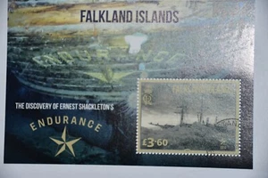 FALKLAND ISLANDS NOV.24 SHACKLETON ENDURANCE MINISHEET USED/CTO - Picture 1 of 1