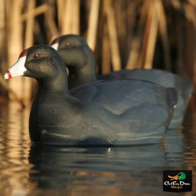 Avery GHG Greenhead Gear Over-Size Coot Duck Decoys - 1/2 Dozen - Image 1 of 3